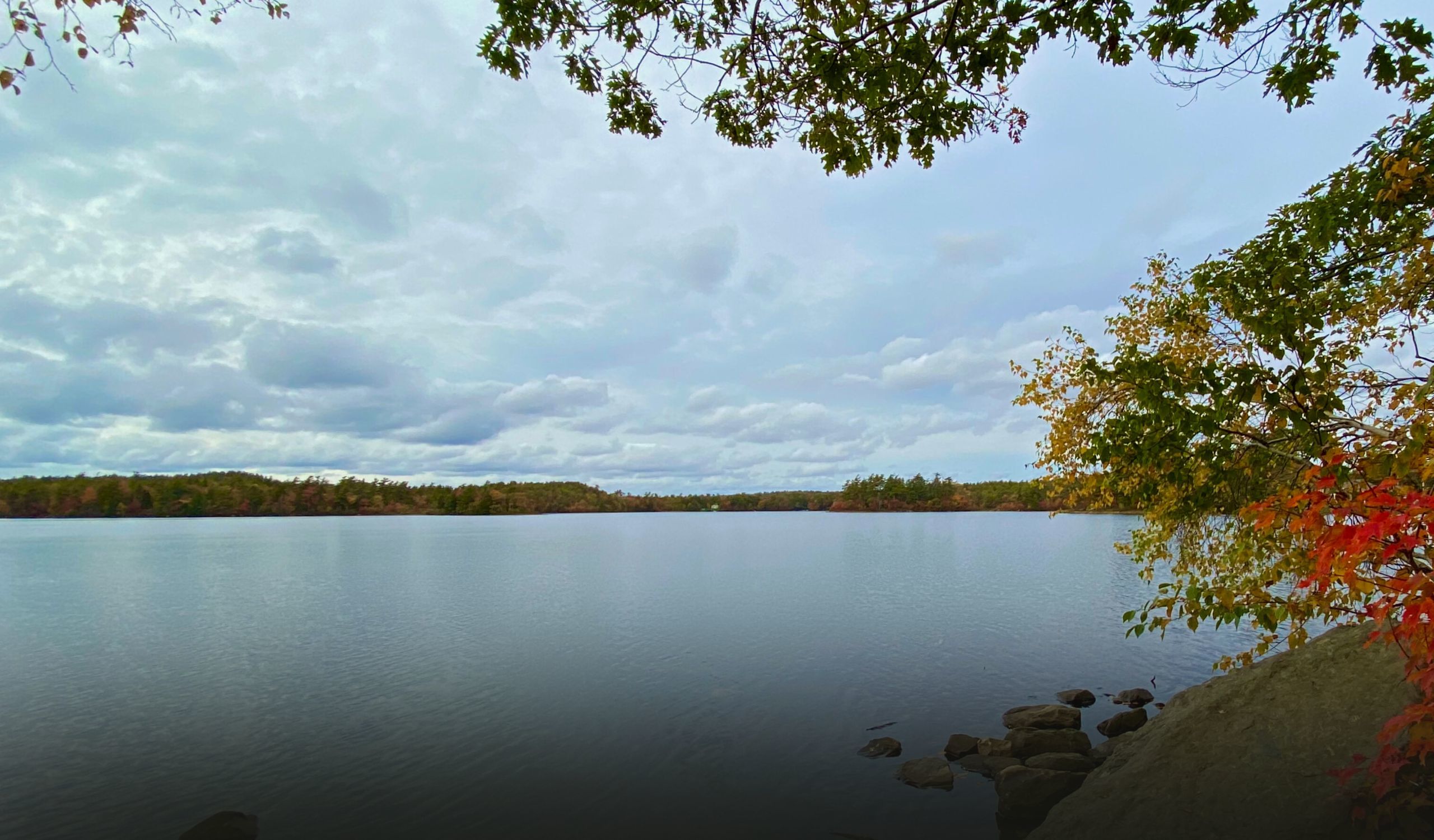 Fall River & Waverley Homes for Sale Halifax, NS Real Estate